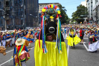 notícia: Arraial do Pavulagem volta às ruas de Belém neste domingo, 12