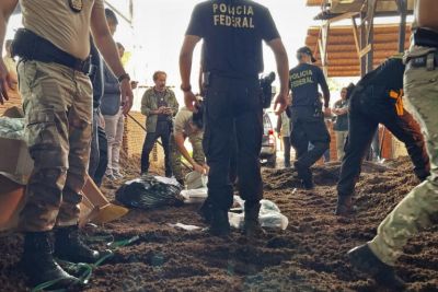 notícia: Policiais incineram 60kg de drogas no Amapá