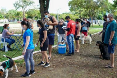 notícia: Vacinação antirrábica ocorre nos bairros Vale Verde e Murici
